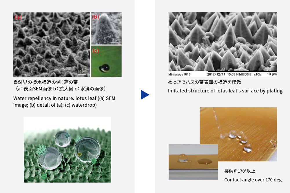 超撥水/撥液技術